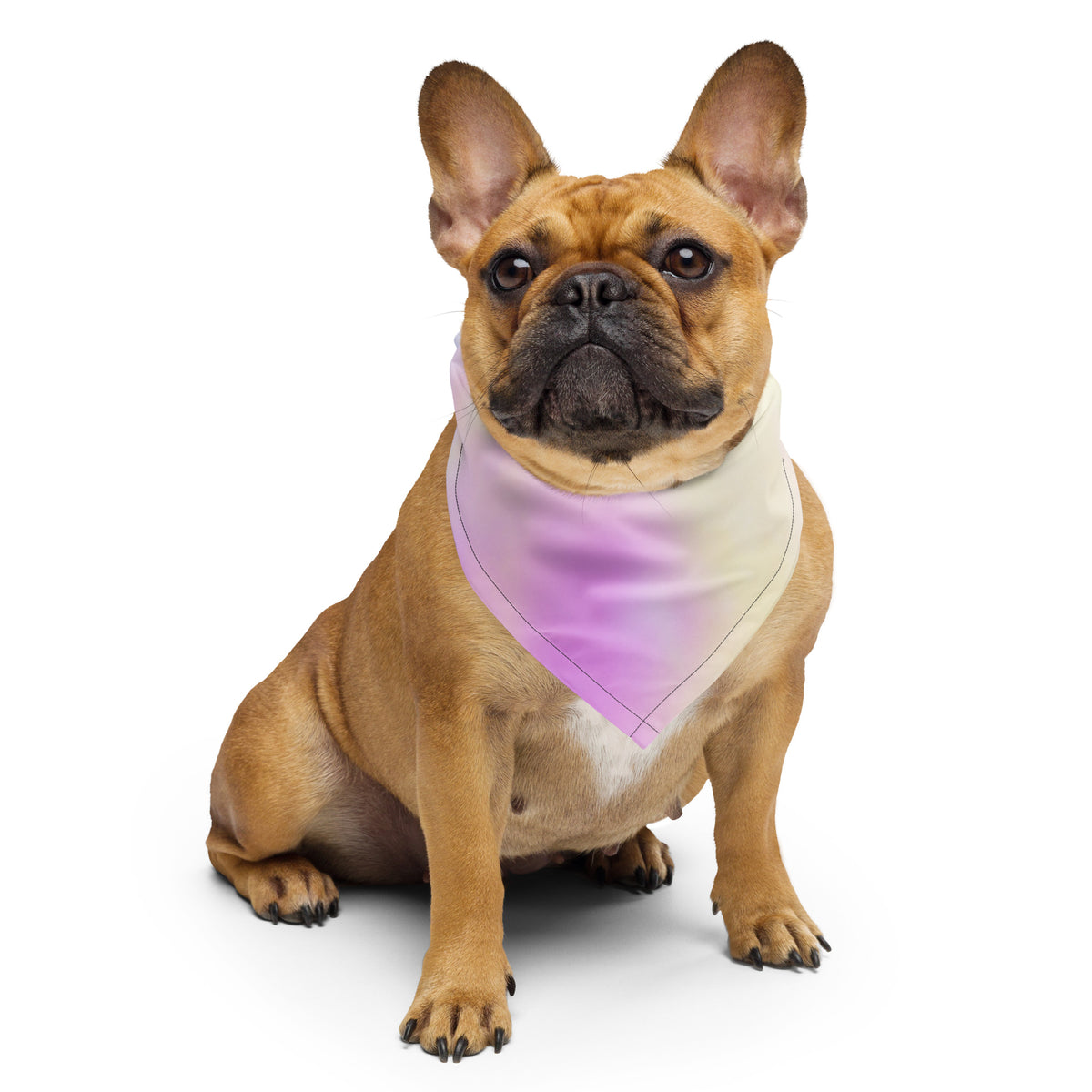 Colorful Bandana - Snugoma